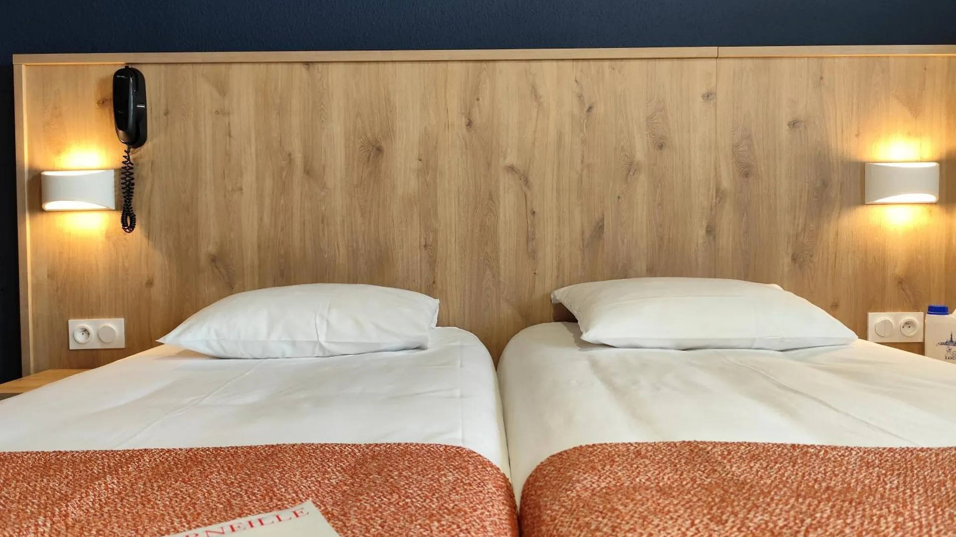 Hotel Helianthe Lourdes France